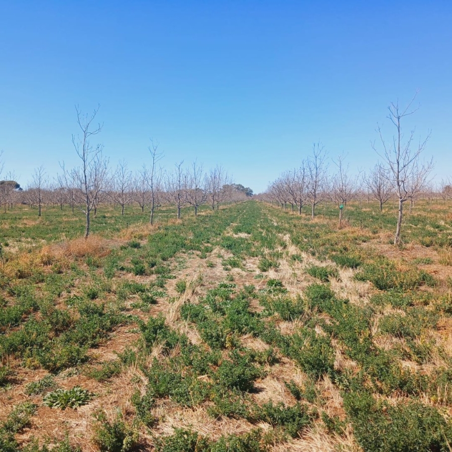  Bedroom Property for Sale in Hartswater Rural Northern Cape